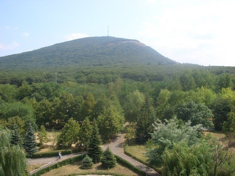 Купить Лес В Пятигорске Цены