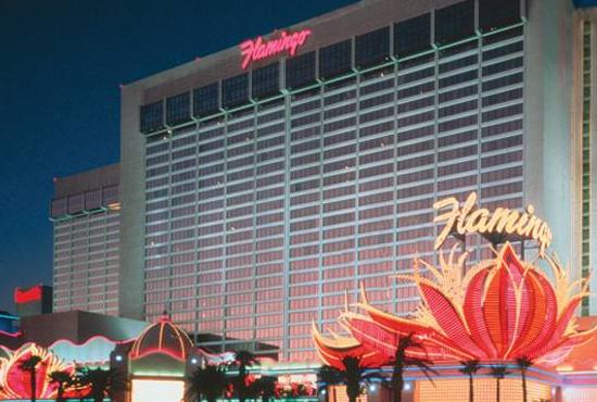 Hotel flamingo FLAMINGO RESORT
